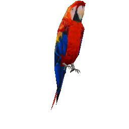 Аксессуары: Попугай на плечо