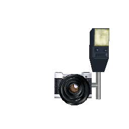 Аксессуары: Фотоаппарат на грудь