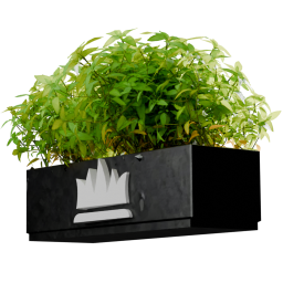 Аксессуары: Грядка с укропом