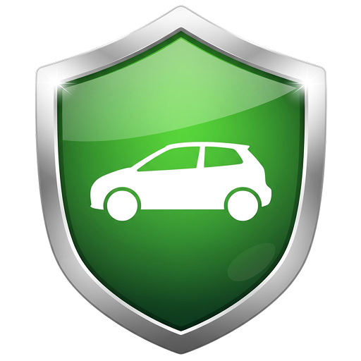 Другое: Сбросить пробег с автомобиля